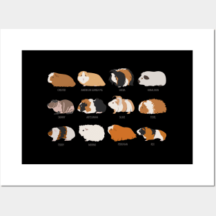 I Love Guinea Pig - Guinea Pig Varieties Posters and Art